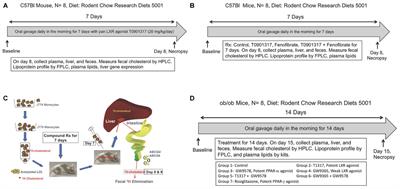 Lack of Correlation of Plasma HDL With Fecal Cholesterol and Plasma Cholesterol Efflux Capacity Suggests Importance of HDL Functionality in Attenuation of Atherosclerosis